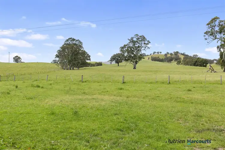 Fourth view of Homely rural property listing, 1176 Taggerty- Thornton Road, Thornton VIC 3712