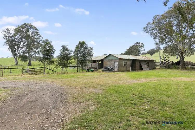 Fifth view of Homely rural property listing, 1176 Taggerty- Thornton Road, Thornton VIC 3712