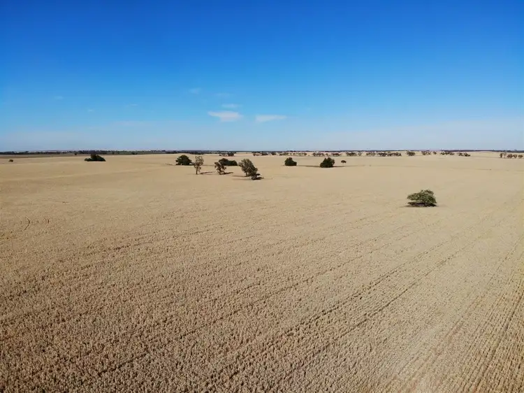 Fourth view of Homely rural property listing, 332 Trimble Road, Ouyen VIC 3490