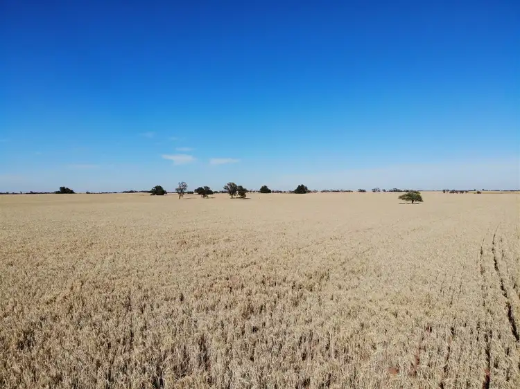 Fifth view of Homely rural property listing, 332 Trimble Road, Ouyen VIC 3490