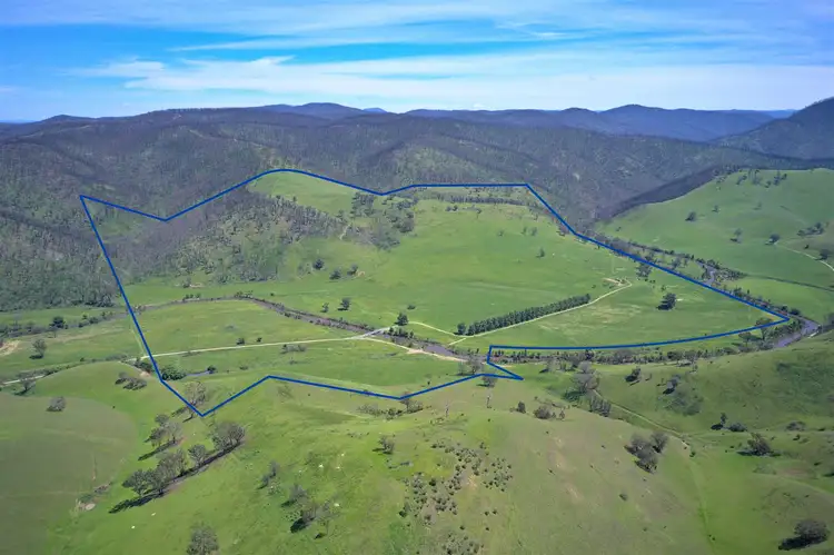 Third view of Homely rural property listing, 321 Sunny Point Road, Buchan VIC 3885