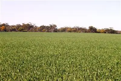 Main view of Homely rural property listing, Address available on request