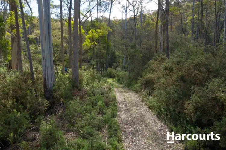 Third view of Homely rural property listing, Lot 3 Mole Creek Road, Needles TAS 7304