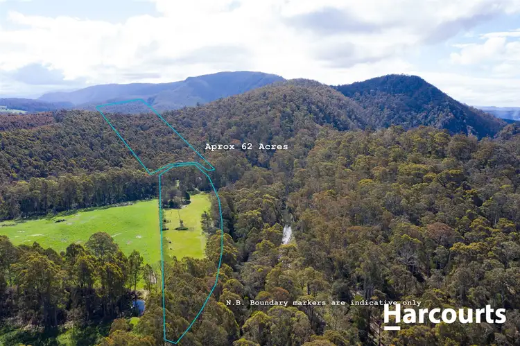 Fourth view of Homely rural property listing, Lot 3 Mole Creek Road, Needles TAS 7304