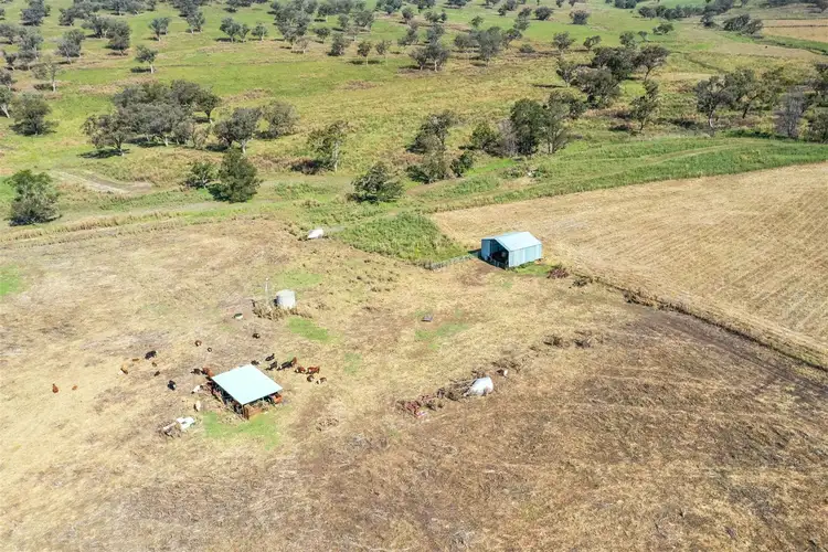 Fourth view of Homely rural property listing, 'Boobanooka' 360 Little Jacks Creek Rd, Willow Tree NSW 2339