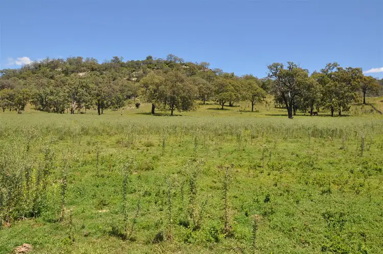 Seventh view of Homely rural property listing, Lot 78 Puen Buen Pit Rd, Scone NSW 2337