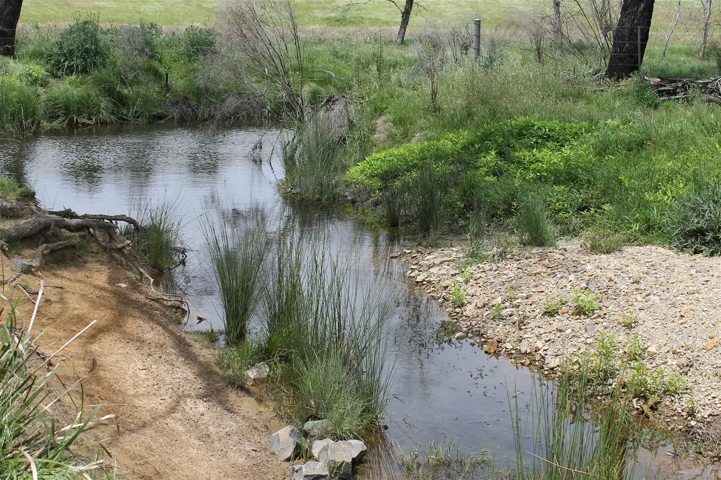 Main view of Homely rural property listing, 100 Killarney Road, Braidwood NSW 2622