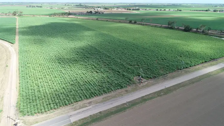 Third view of Homely rural property listing, Address available on request