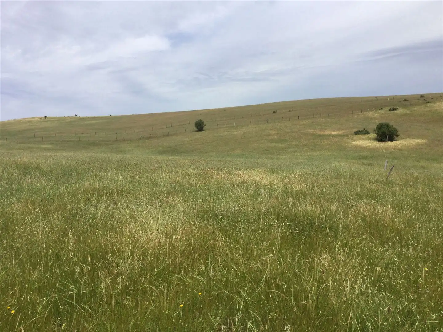 Main view of Homely land listing, PID 6831788 Waterloo Street, Ross TAS 7209