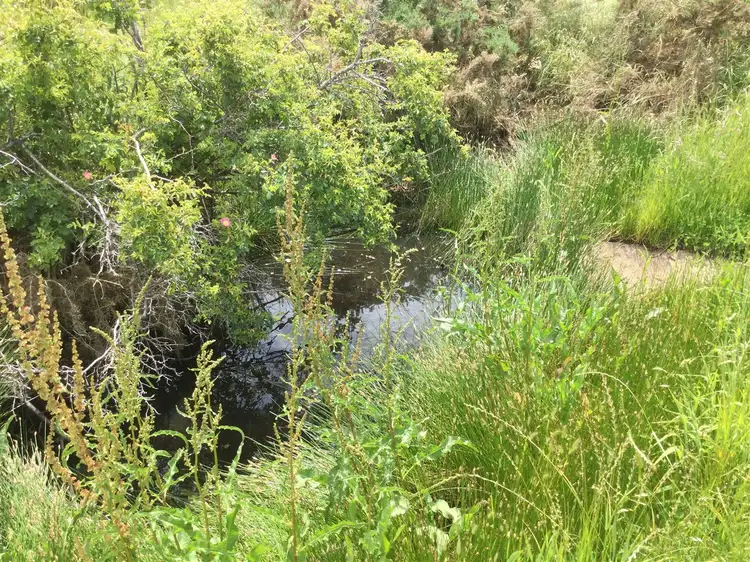 Second view of Homely land listing, PID 6831788 Waterloo Street, Ross TAS 7209