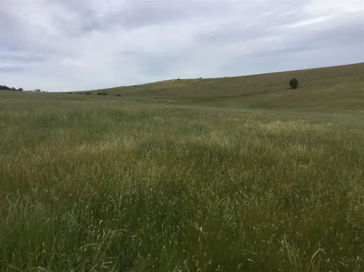 Seventh view of Homely land listing, PID 6831788 Waterloo Street, Ross TAS 7209