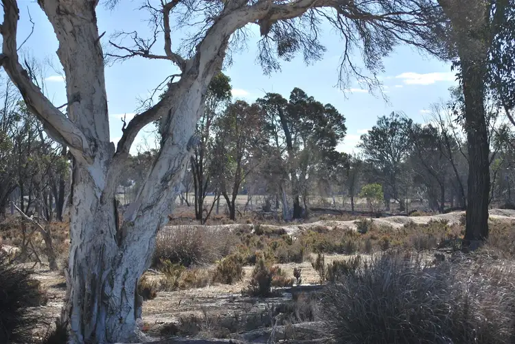 Second view of Homely rural property listing, 3206 Albany Hwy, Woodanilling WA 6316