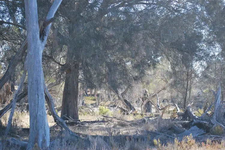 Third view of Homely rural property listing, 3206 Albany Hwy, Woodanilling WA 6316