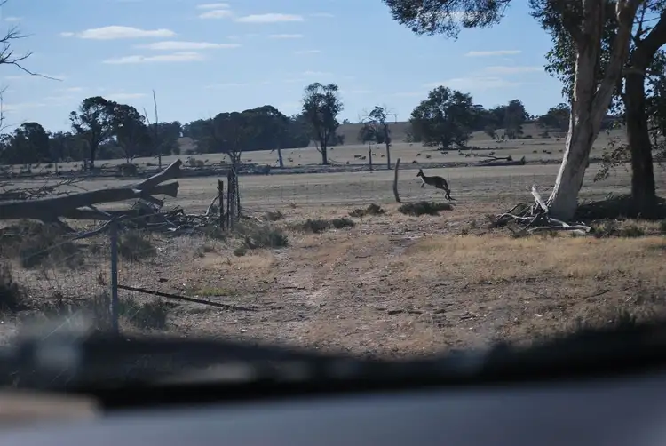 Fifth view of Homely rural property listing, 3206 Albany Hwy, Woodanilling WA 6316