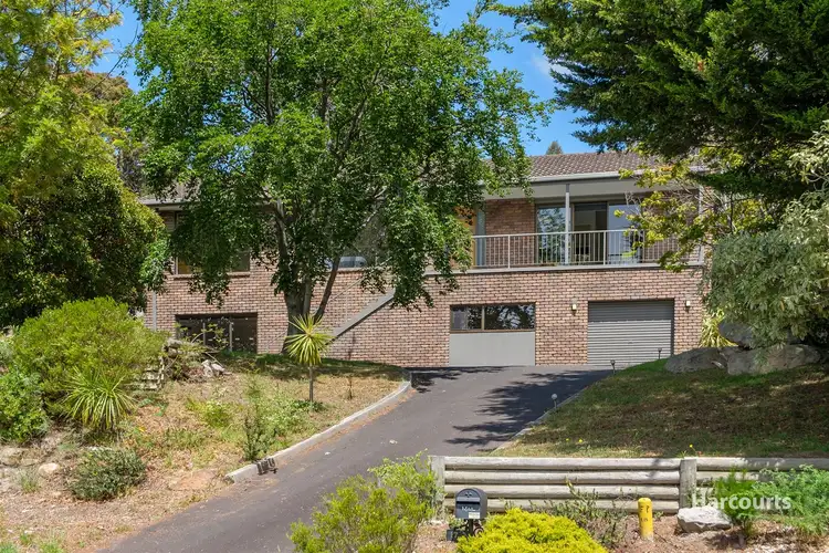 Main view of Homely house listing, 17 Sophia Street, Kingston TAS 7050