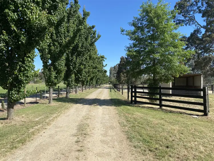 Main view of Homely rural property listing, 1032 Taggerty - Thornton Road, Thornton VIC 3712
