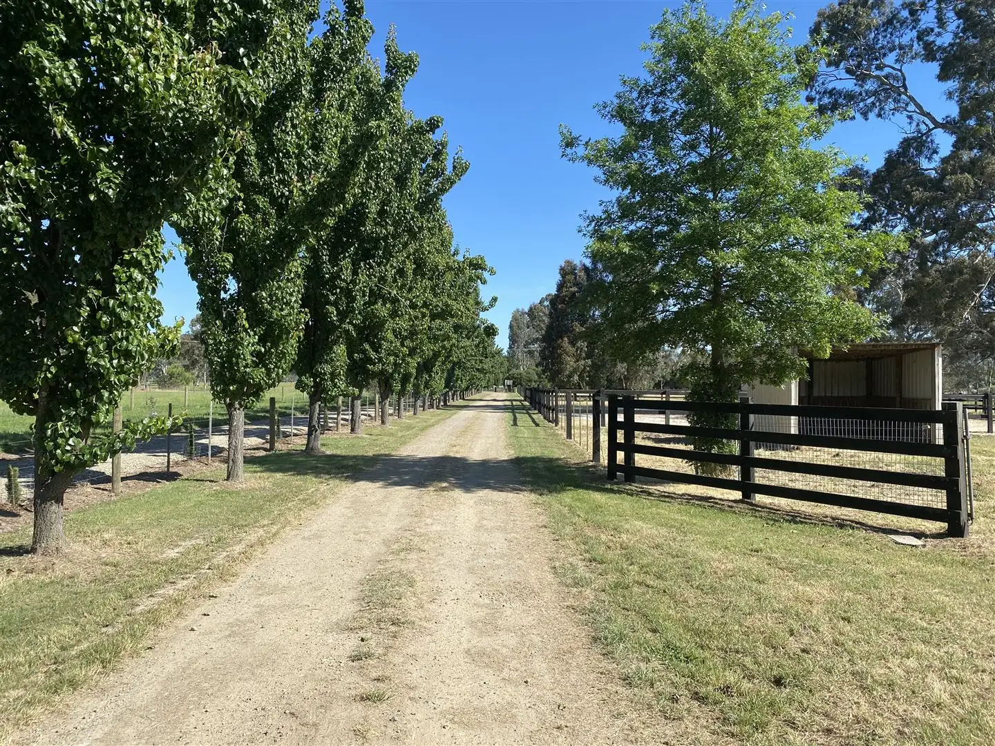 Main view of Homely rural property listing, 1032 Taggerty - Thornton Road, Thornton VIC 3712