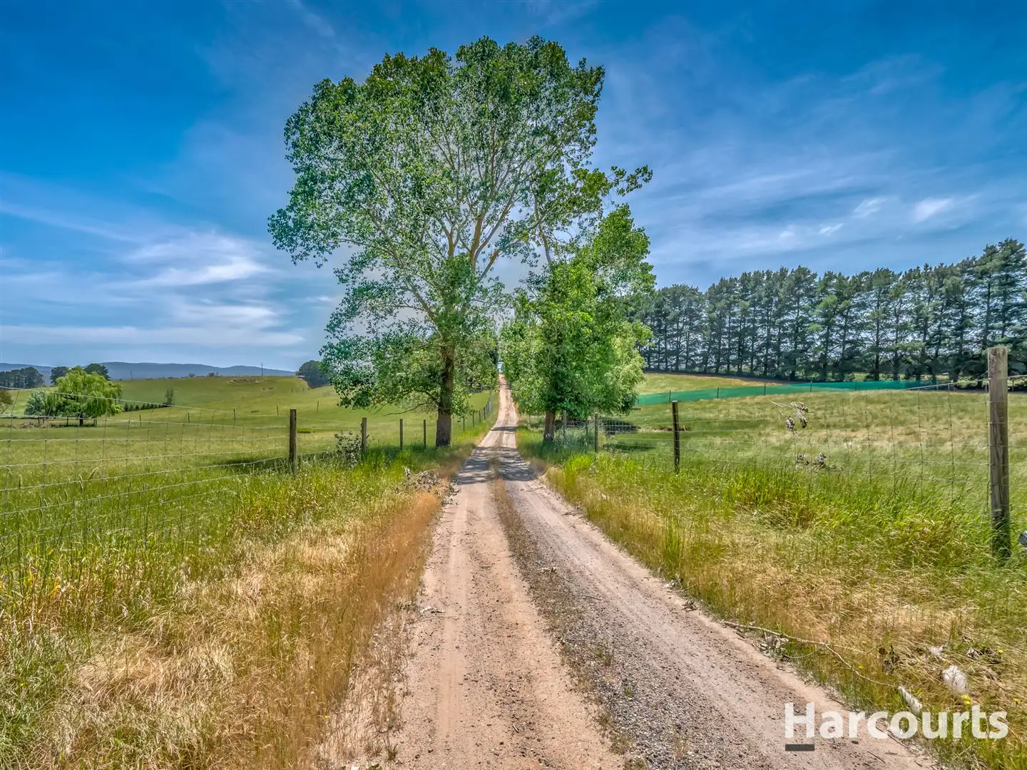 Main view of Homely rural property listing, 931 Moe Rawson Road, Tanjil South VIC 3825