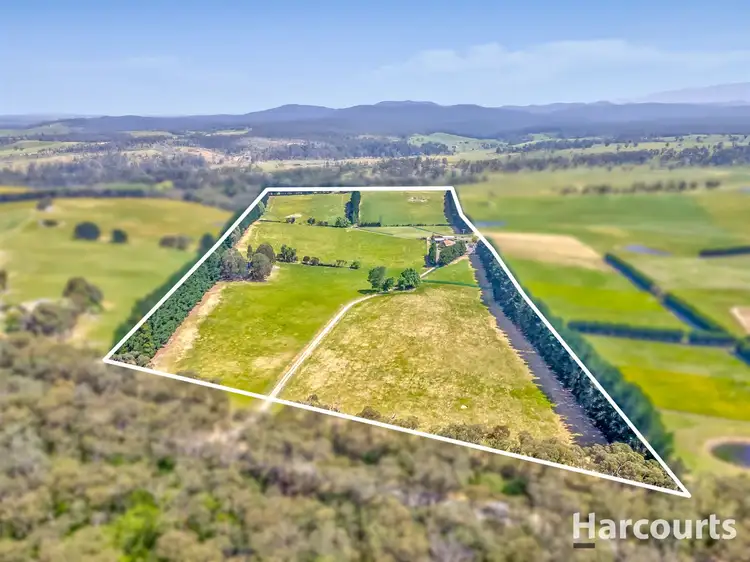 Third view of Homely rural property listing, 931 Moe Rawson Road, Tanjil South VIC 3825