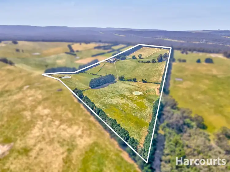 Fourth view of Homely rural property listing, 931 Moe Rawson Road, Tanjil South VIC 3825