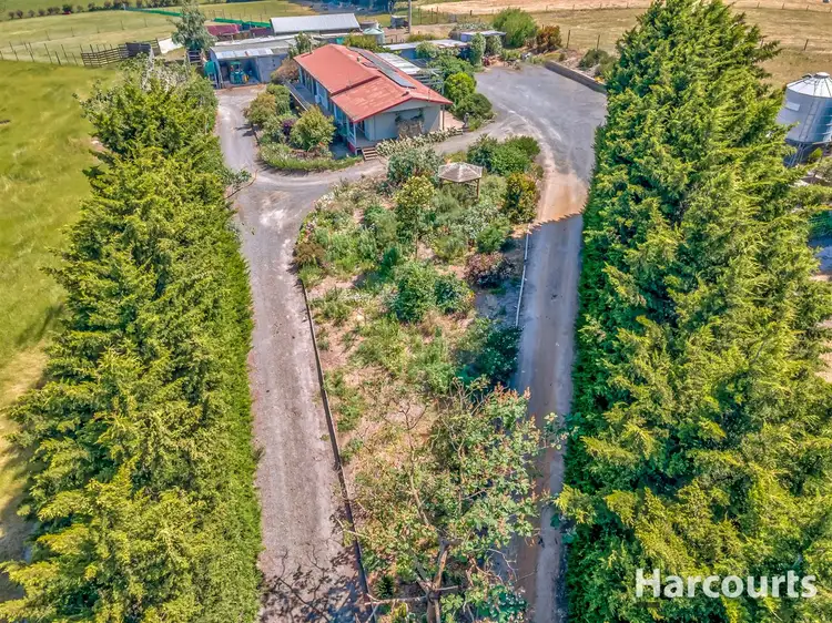 Sixth view of Homely rural property listing, 931 Moe Rawson Road, Tanjil South VIC 3825