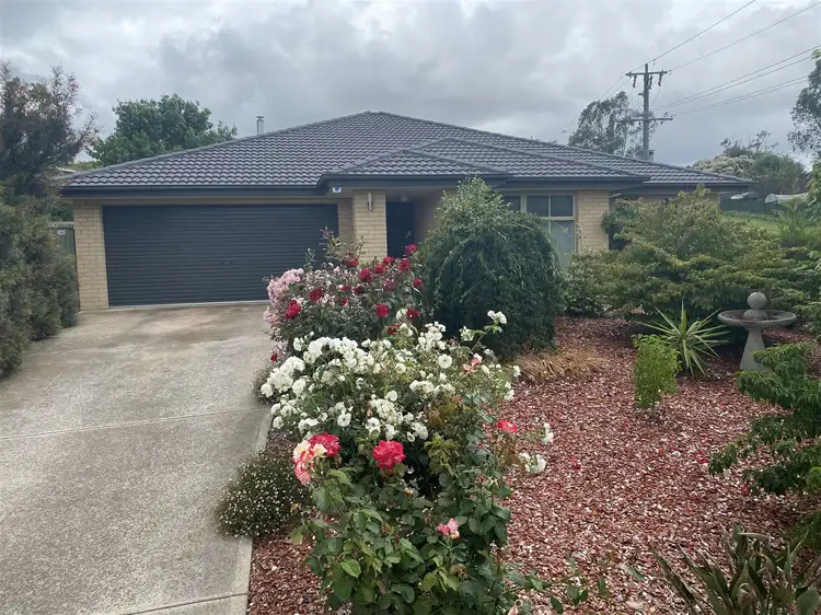 91 Webster Street, Alexandra VIC 3714