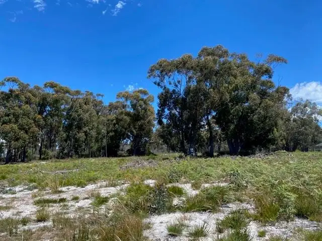 Second view of Homely land listing, Lot 14 Freshwater Street, Beaumaris TAS 7215
