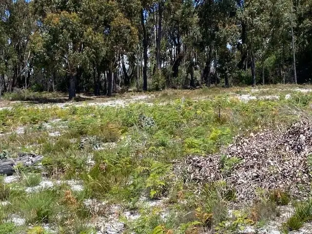 Fifth view of Homely land listing, Lot 14 Freshwater Street, Beaumaris TAS 7215