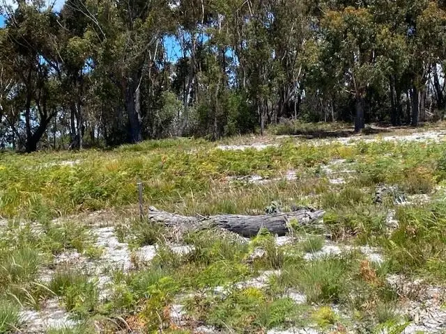 Sixth view of Homely land listing, Lot 14 Freshwater Street, Beaumaris TAS 7215