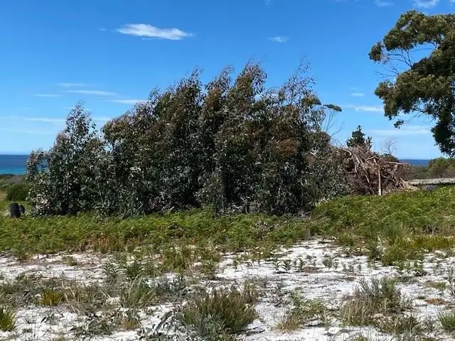 Seventh view of Homely land listing, Lot 14 Freshwater Street, Beaumaris TAS 7215