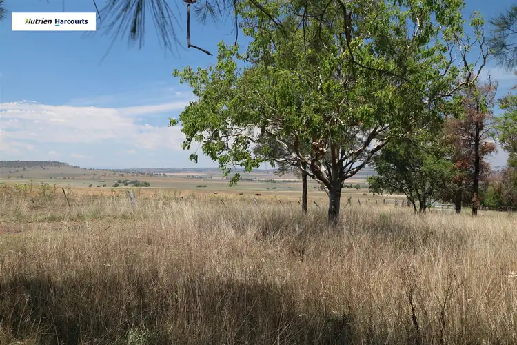 Sixth view of Homely rural property listing, 71 Sparksman Road, Allora QLD 4362