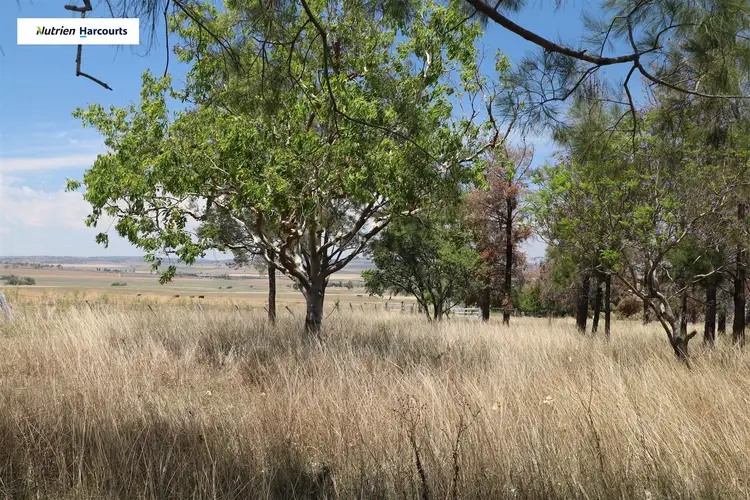 Seventh view of Homely rural property listing, 71 Sparksman Road, Allora QLD 4362