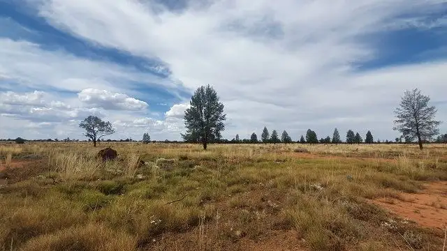 Main view of Homely rural property listing, * Coronga Downs, Cobar NSW 2835
