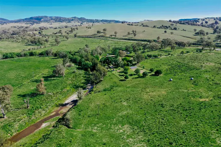 Sixth view of Homely rural property listing, 'Manaree' 5448 New England Hwy, Blandford via, Scone NSW 2337