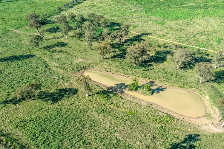 Seventh view of Homely rural property listing, 'Manaree' 5448 New England Hwy, Blandford via, Scone NSW 2337