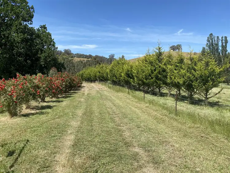 Third view of Homely rural property listing, 1104 Yarck Road, Gobur VIC 3719