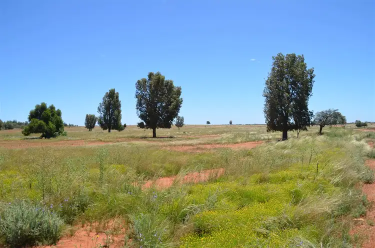 * Windera Station, Cobar NSW 2835