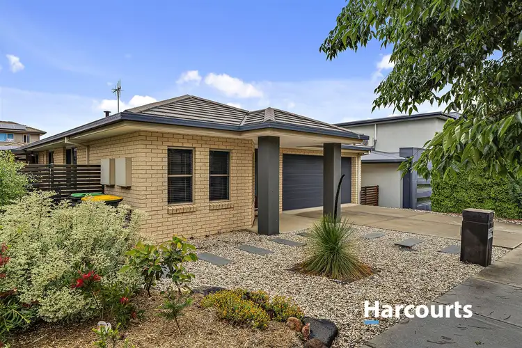 Main view of Homely house listing, 7/Allnutt Crescent, Forde ACT 2914