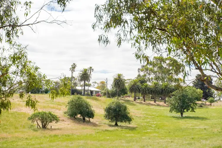 Main view of Homely rural property listing, 46 Retreat Homestead Road, Casterton VIC 3311