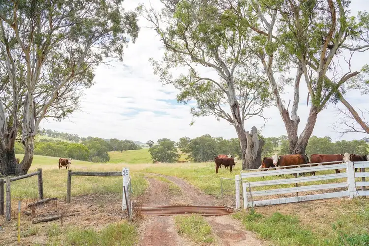 Third view of Homely rural property listing, 46 Retreat Homestead Road, Casterton VIC 3311
