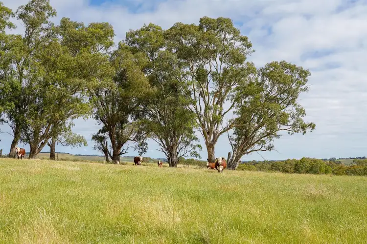 Sixth view of Homely rural property listing, 46 Retreat Homestead Road, Casterton VIC 3311