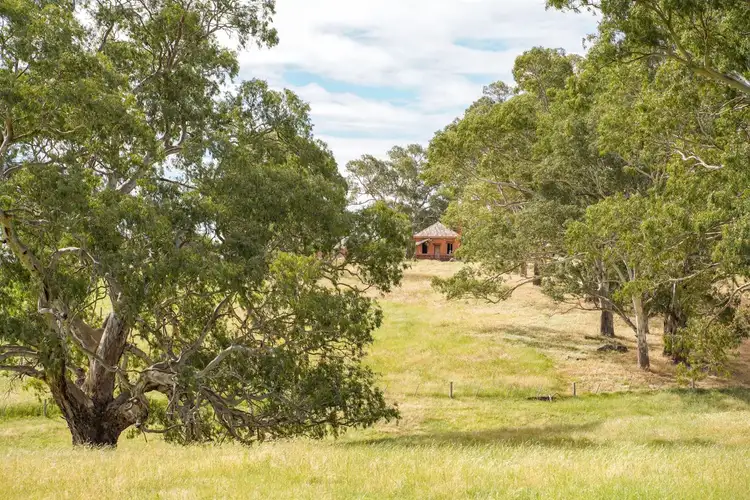 Seventh view of Homely rural property listing, 46 Retreat Homestead Road, Casterton VIC 3311