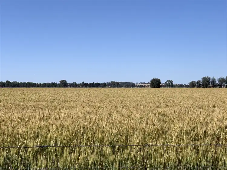 'Linwood' Kardinia Road, Corowa NSW 2646