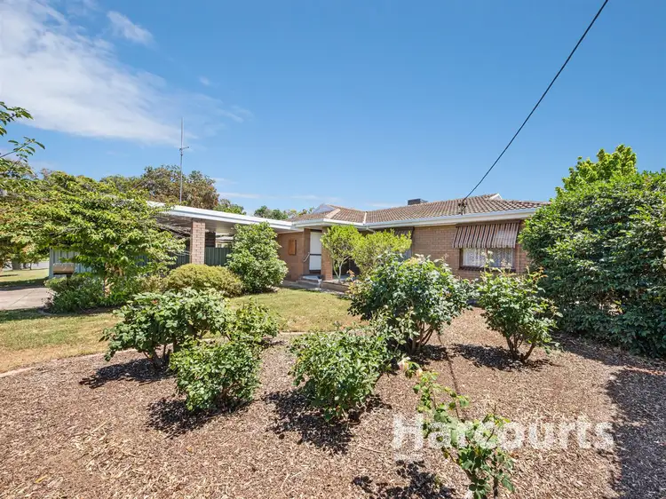 Main view of Homely house listing, 11 Scott Street, Wangaratta VIC 3677