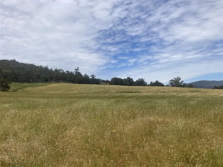 Sixth view of Homely rural property listing, 2125 Huon Highway, Grove TAS 7109