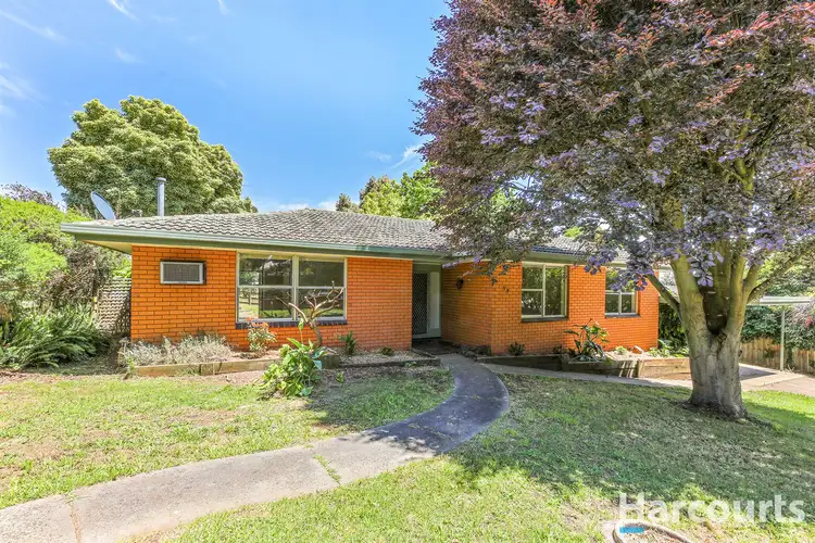 Main view of Homely house listing, 19 Main Neerim Road, Drouin VIC 3818