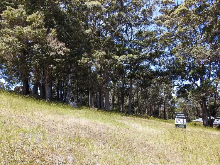 Main view of Homely land listing, 13 Jasper Place, Denmark WA 6333