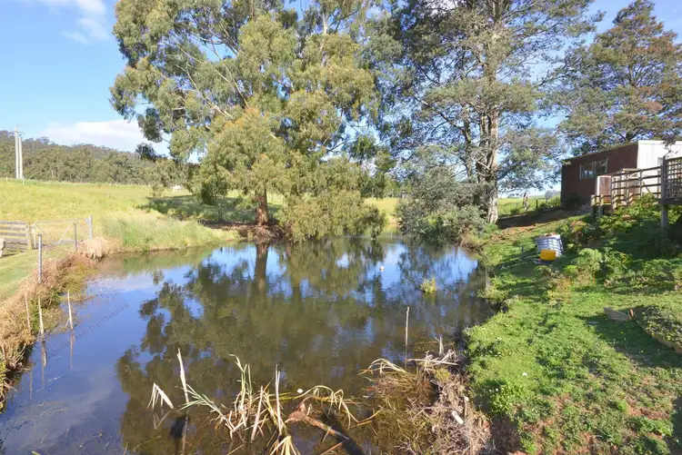 Third view of Homely rural property listing, 1435 Pine Road, Riana TAS 7316