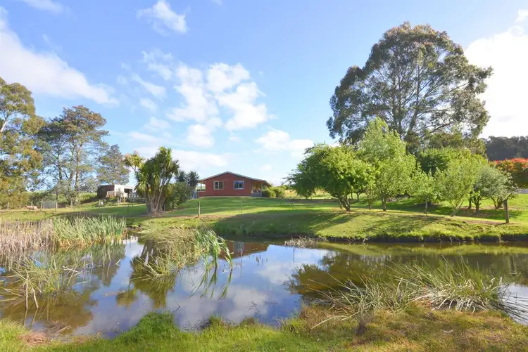 Fourth view of Homely rural property listing, 1435 Pine Road, Riana TAS 7316