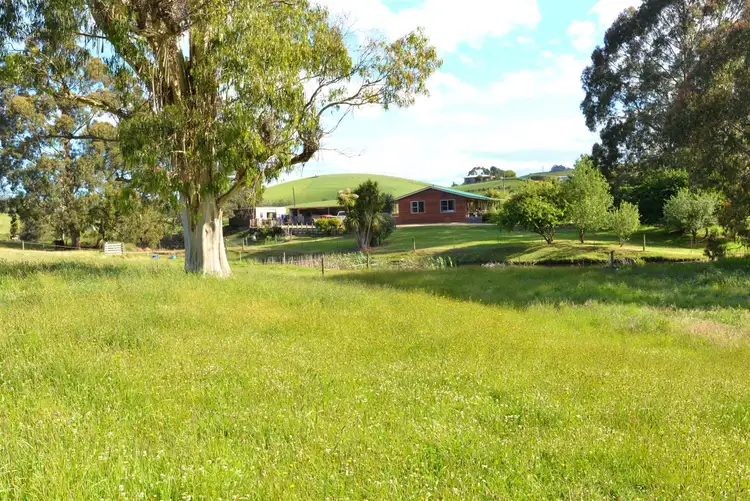 Fifth view of Homely rural property listing, 1435 Pine Road, Riana TAS 7316